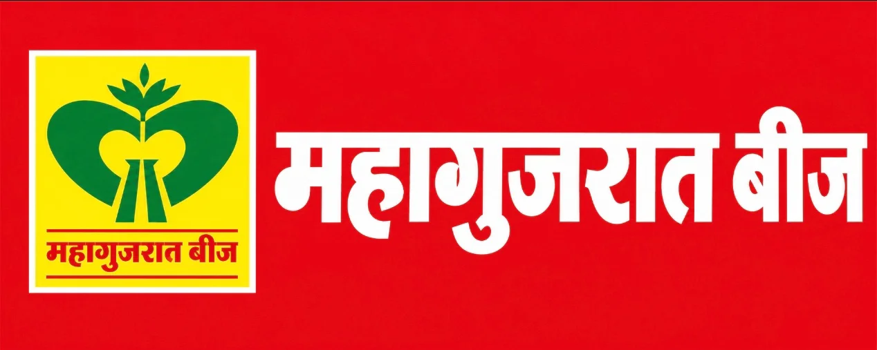 Mahagujarat beej